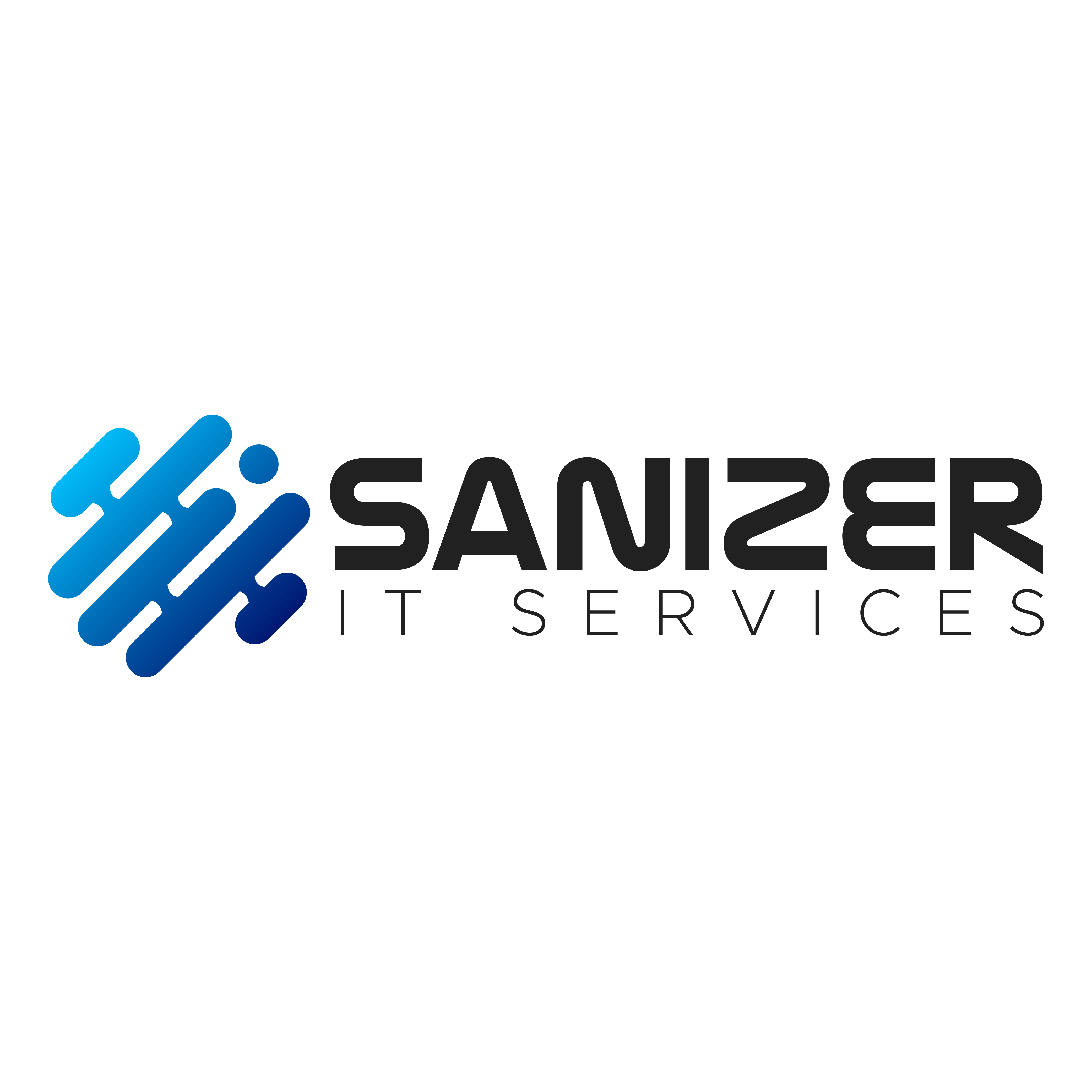 Sanizer IT Services